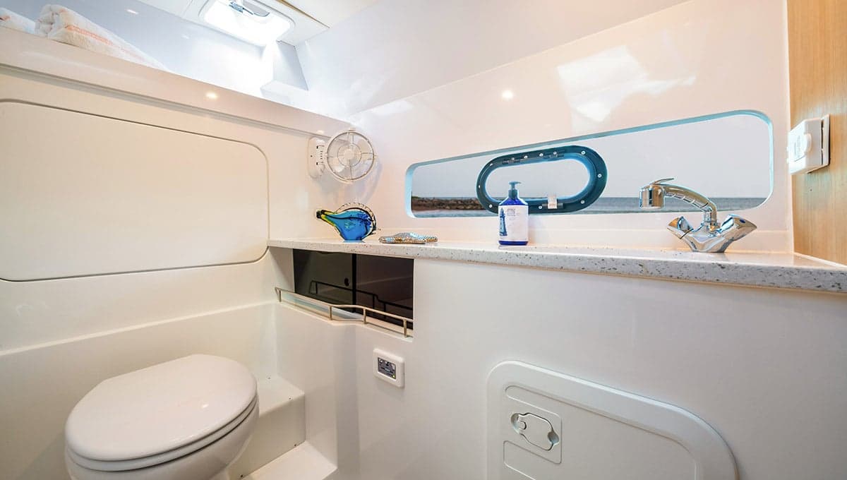 Head of the Aquila 32 Sport