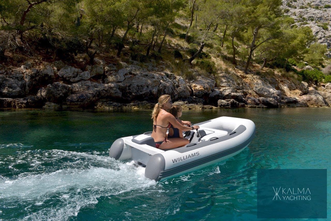 Williams Jet Tenders Minijet 280, foto 1