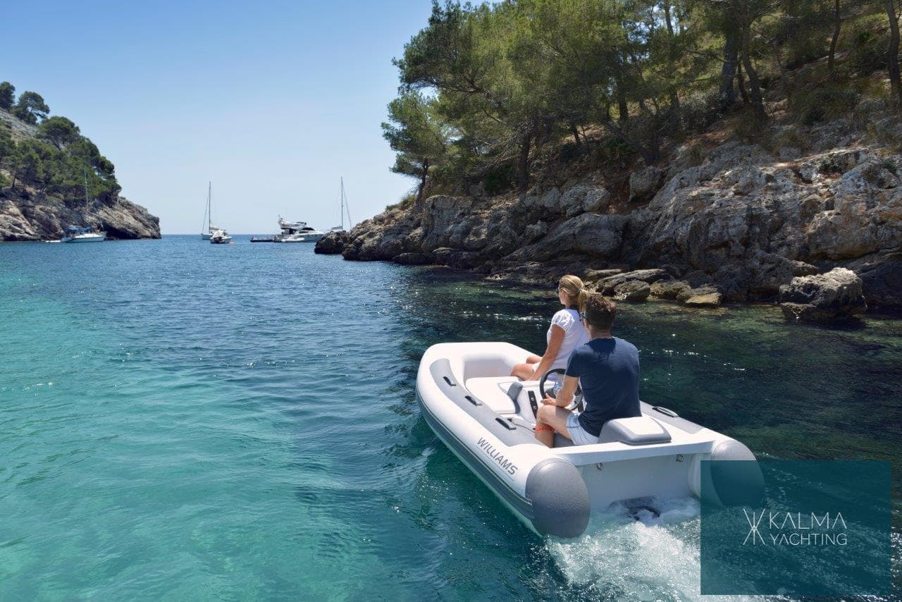 Williams Jet Tenders Minijet 280, foto 8
