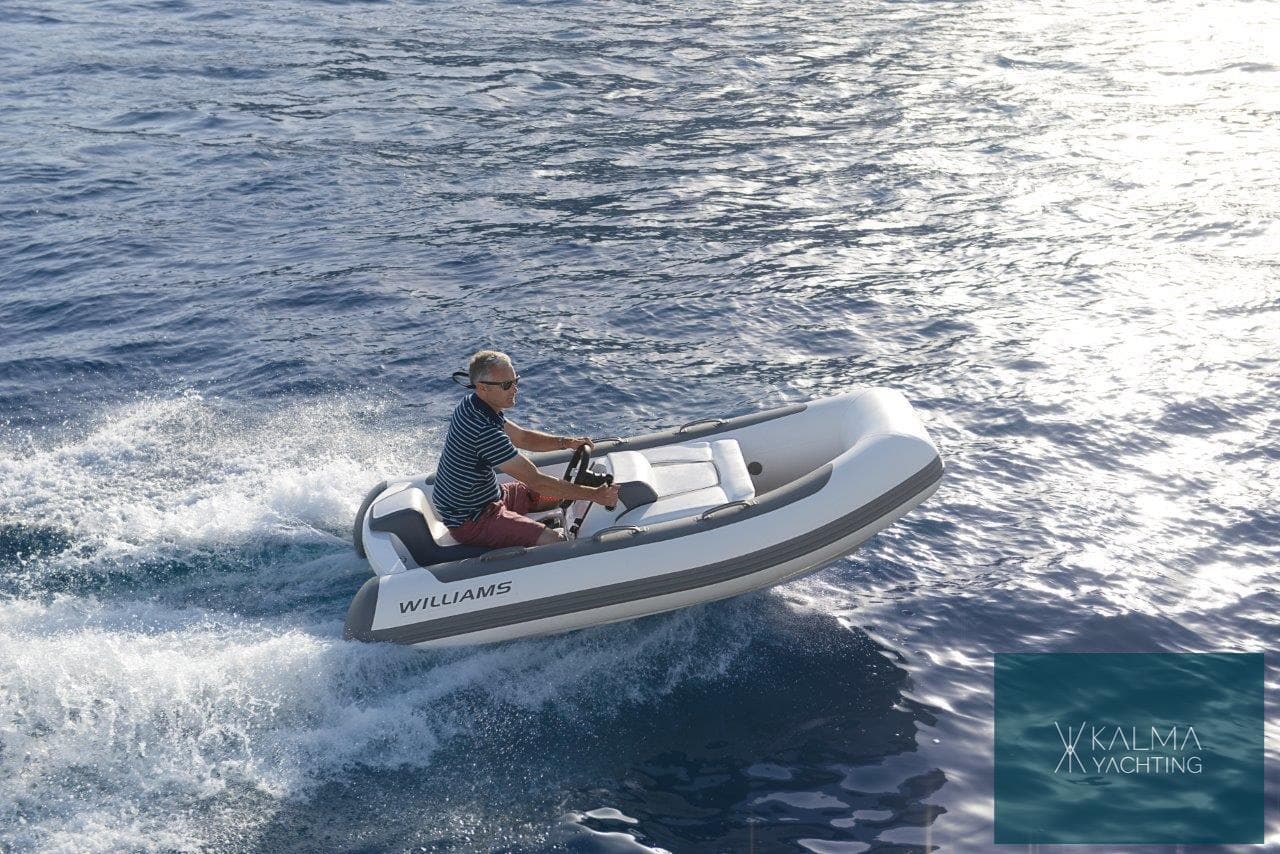 Williams Jet Tenders Minijet 280, foto 9